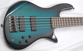 Clover Bass.jpg
