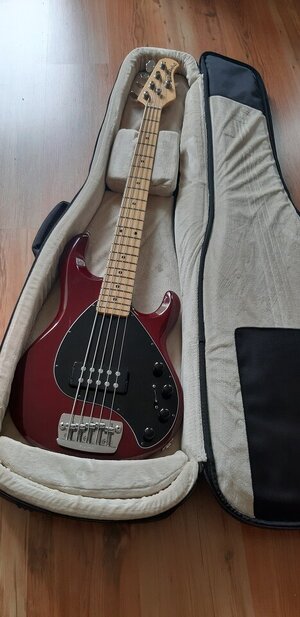 gator2.jpg gator2.jpg