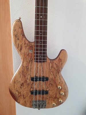 Sandberg Panther TT rare wood mit Titan-Brücke