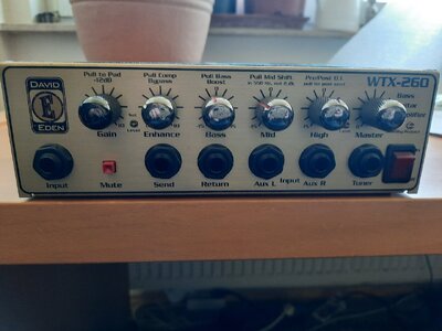 Eden WTX 260 (made in USA)