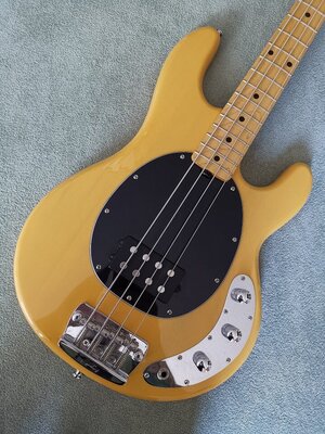 V/T : STERLING by Musicman STINGRAY RAY 24 Bass