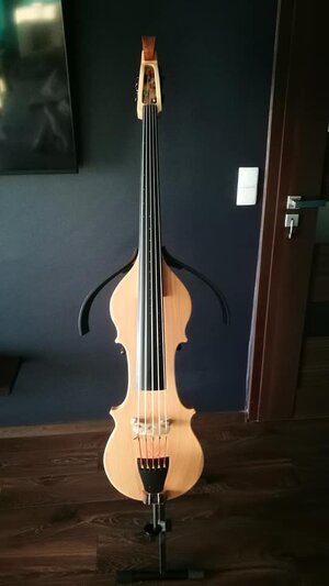 Stradi Electric Upright/Double Bass 5-string