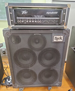 2023_06_11 Bilder Equipment Peavey Alphabass + Zeck EBS 4x10_05.jpg