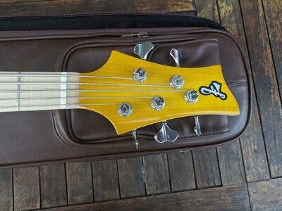F bass BN 5 deluxe
