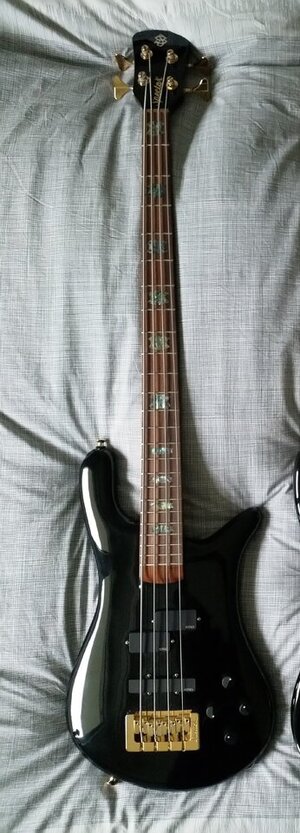 spector usa ns 2 dw.jpg