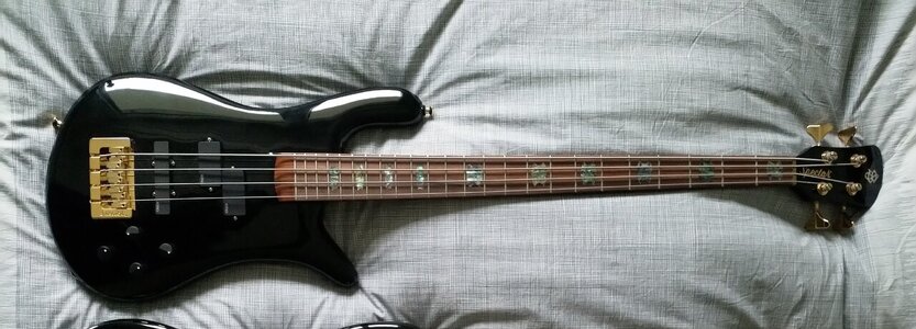 spector usa ns 2 dw2.jpg