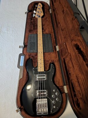 SUCHE: Peavey T 40 Bass