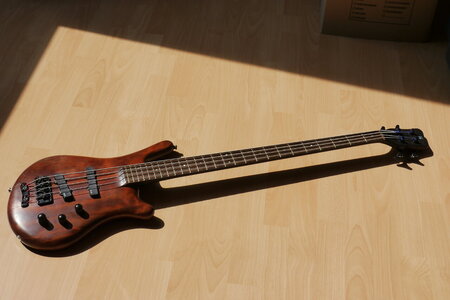 Warwick Thumb NT4