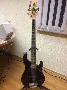 Stingray.JPG