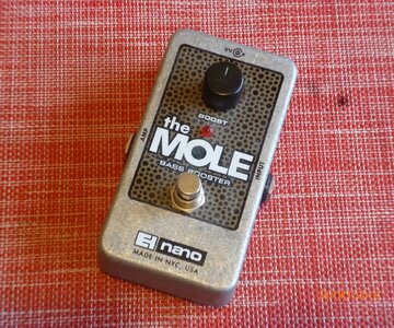 EHX the Mole -1.JPG