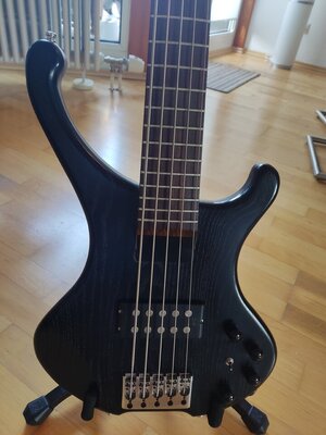 Bassline Black Buster 5