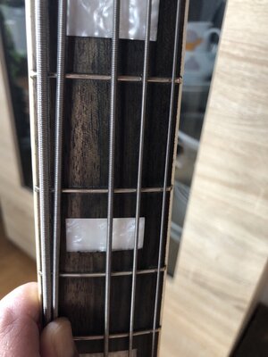 IMG_4281.jpeg