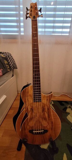 Verkaufe  LTD 5-TL 5-saitige semi-akustische  Bassgitarre mit Fishman Preamp.