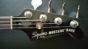 Mustang Head.jpg Mustang Head.jpg