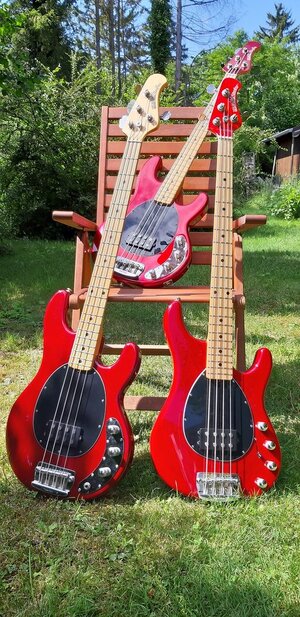 3xMuMaRed-2.jpg 3xMuMaRed-2.jpg