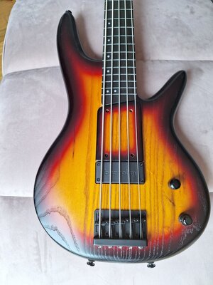 Ibanez GWB205 neuwertig!