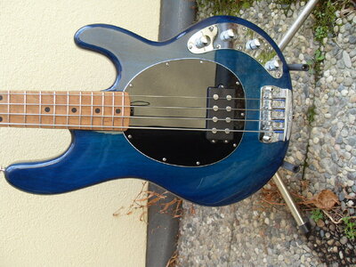 Music Man Stingray Bass PDN 2014 limited Neptune Blue zu verkaufen