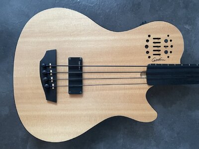 Godin A4 Ultra Fretless