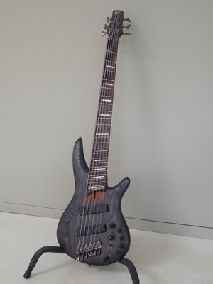 Ibanez_SD_vorn-ges.jpg