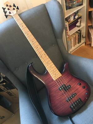 Verkauft! -------- Human Base Jonas 5-String P/J