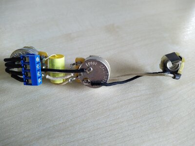 Precision Bass Elektrik Schraubklemmen, TAD, Allparts / CTS, Göldo