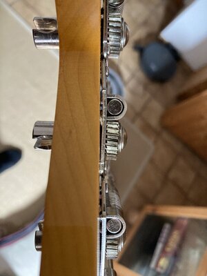 IMG_1414.jpeg IMG_1414.jpeg