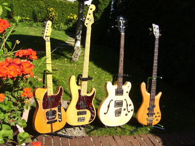 BILD8067.JPG