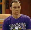 why_sheldon_cooper_icon_by_manongg-d4dmnhb.jpg