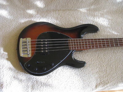 Sterling by Music Man Stingray Ray 35 Vintage Sunburst zu verkaufen (Neu, keine Probe, keine Bühne)