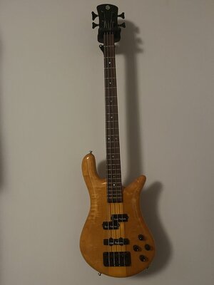 Spector Europe 4-string aus den ersten Jahren
