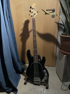 Verkaufe ErnieBall MusicMan StingRay Bj. 93