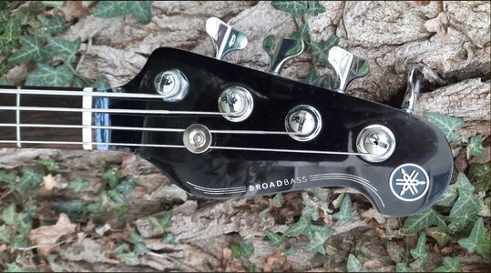 YAMAHA BB 434 TB Broadbass gepimpt