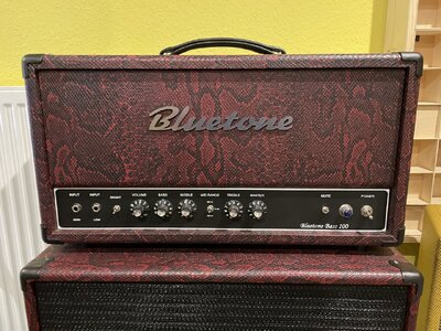 Bluetone Bass 100 * Vollröhrenamp Verstärker * Bass Tube Amp