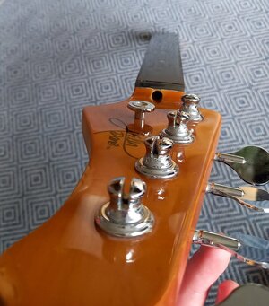 20230930_161926.jpg