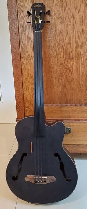 Aria FEB-F2/FL Elektro Akustik Bass Fretless neuwertiger Zustand