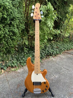 Lakland 55-76 total.jpg