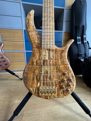 F Bass BN5 Ambrosia Maple - jetzt 3.900 €
