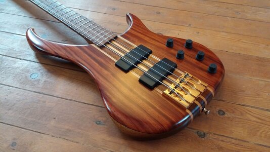 Looking for 4 string usa Peavey Cirrus or Spector Rebop MM.