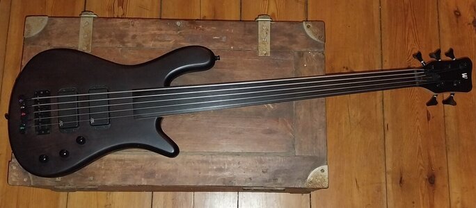 Warwick RockBass Streamer Standard 5-String Fretless.jpg