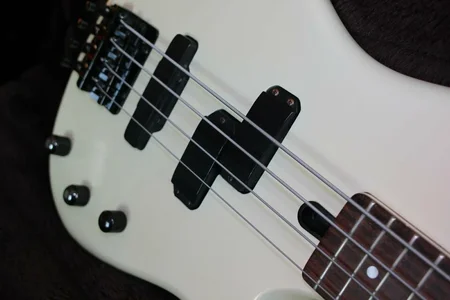 rbx korpus front.webp