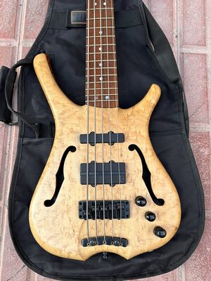Suche Warwick Infinity 4/5string