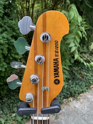 Yamaha_BB1200_Headstock_front.jpg