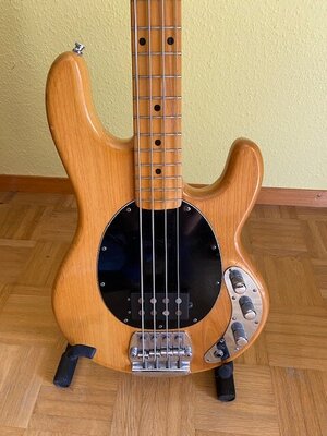 77 Sting natur-2.JPG