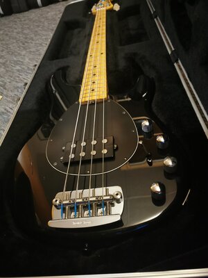 Musicman Sterling USA kein Ray xx