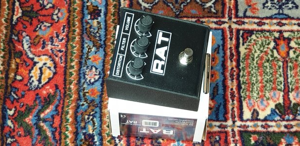 20231022_123549.jpg