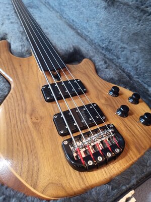 Wal Mk 2 fretless 5-string