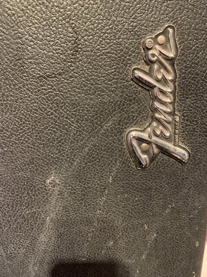 Fender_Logo_Case.jpg