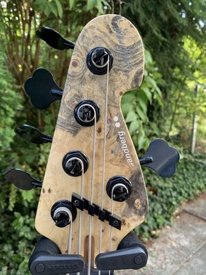 Sandberg_headstock_front.jpg