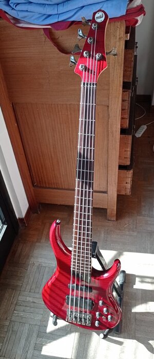 MTD Kingston Heir 5 mit Lakland Elektronik und Tonabnehmer