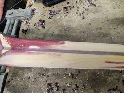 IMG_20231029_194800.jpg IMG_20231029_194800.jpg